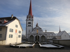 Stift Berom&uuml;nster